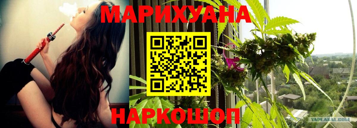 Бошки Шишки планчик Нововоронеж
